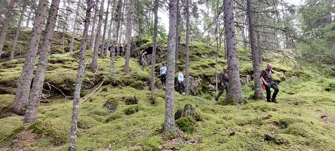 Bushcraft Wesertal - Impressionen aus Schweden
