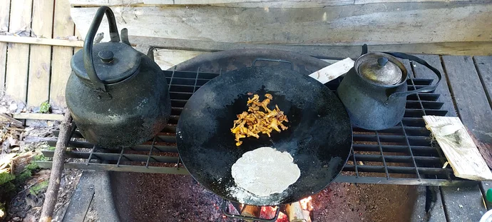 Bushcraft Wesertal - Impressionen aus Schweden