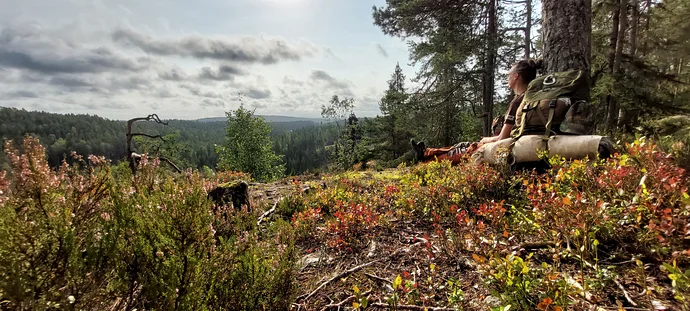 Bushcraft Wesertal - Impressionen aus Schweden
