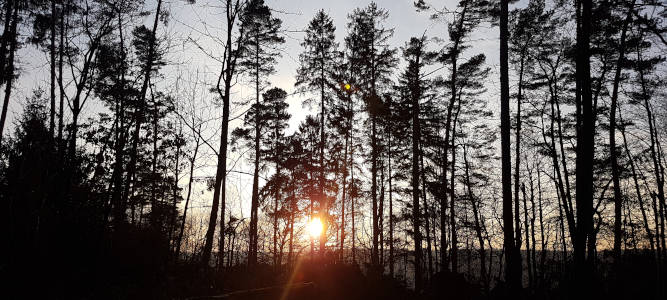 Bushcraft Wesertal - Naturbild