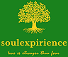 Logo Soulexperience